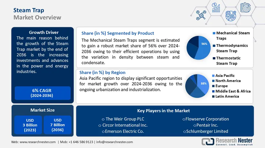 Steam Trap Market Overview